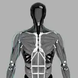 clonerobotics from patreon