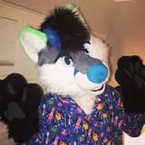 Kiwifox from patreon