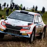 rallyforever from patreon