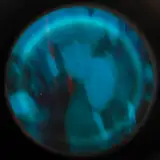 bailzwil from patreon
