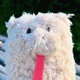 舐めた犬 from fanbox