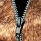 foxmcfly from patreon