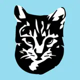 kittencreation from patreon