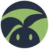 Din Animation Studio from patreon