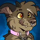 rooc from patreon