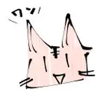 雨のち流星群 from fanbox